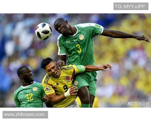 肯尼亚与塞内加尔欧赔对比分析揭示比赛胜负关键因素