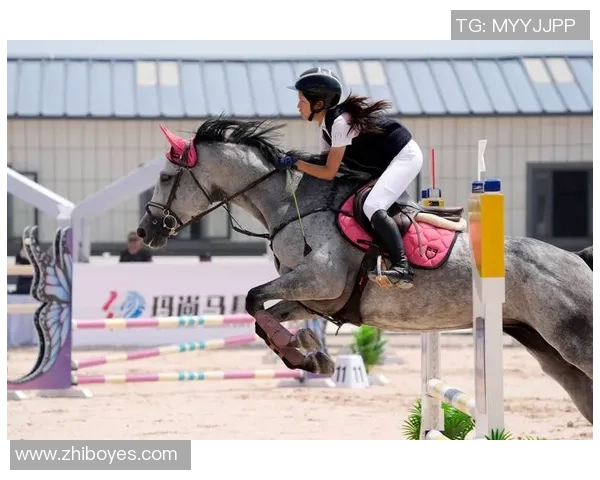 我国马术工业十年开展全解析（上篇）：2020-2025年开展回忆与沉淀